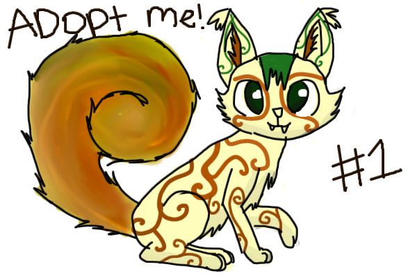 Kangaroo Cat #1