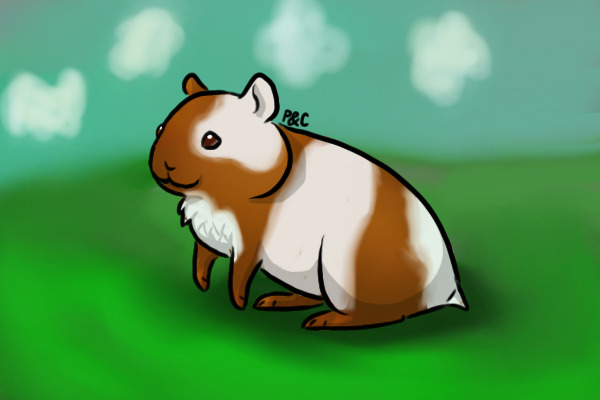 Patches the Hamster