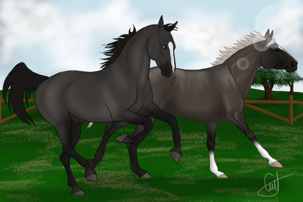 Breeding: Queenie x Hugo