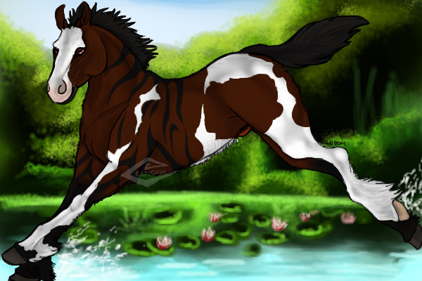 BK breeding for Equus feras caballus