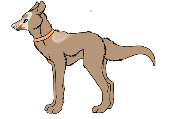 W>I>P Kangaroo dog