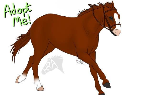 HRA: Dark Chestnut