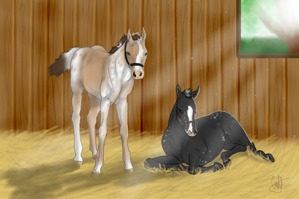 Stabled