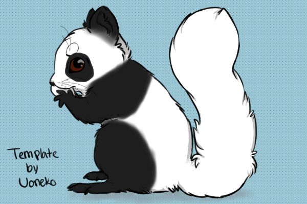 Panda the Squirrel