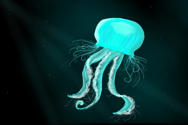 Jellyfish :3