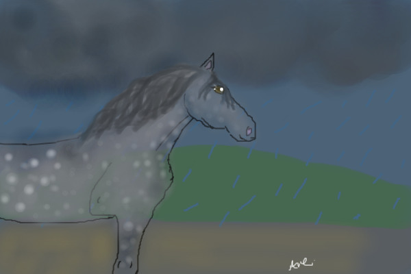 thunderstorm appaloosa