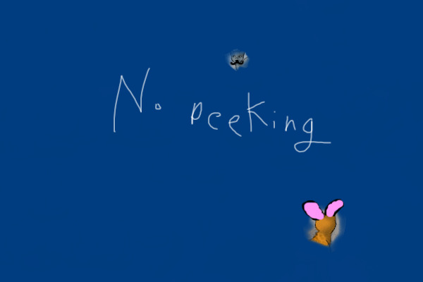 No peeking.