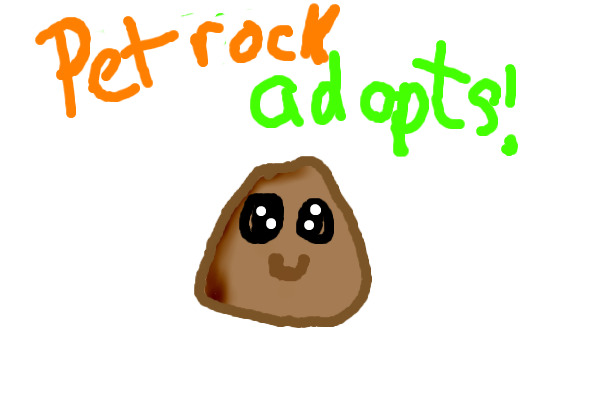 Pet Rock Adopts