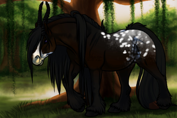 BK: Appaloosa