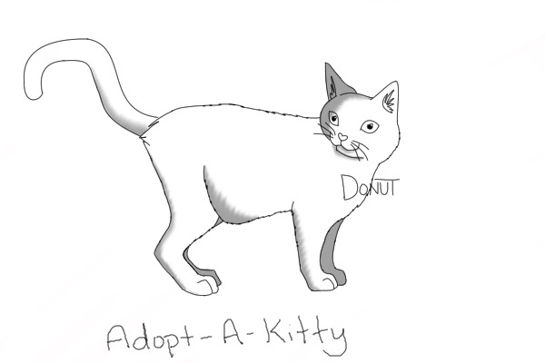Adopt-A-Kitty