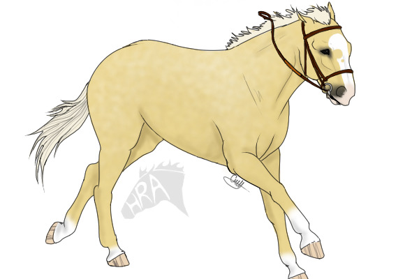 Custom For white . horse