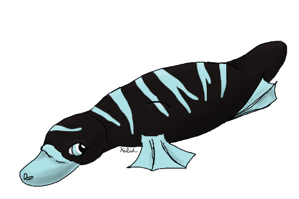 Platypus 5