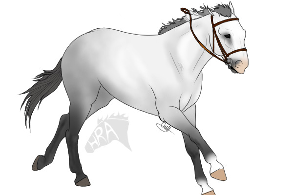 HRA: breeding for white . horse