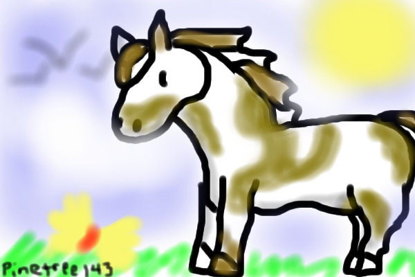 Paint Horse in a Field