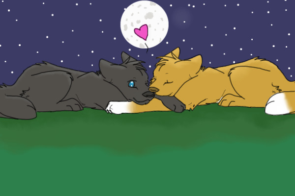 Wolves under the stars