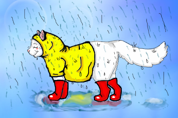 Cat from beansproutt