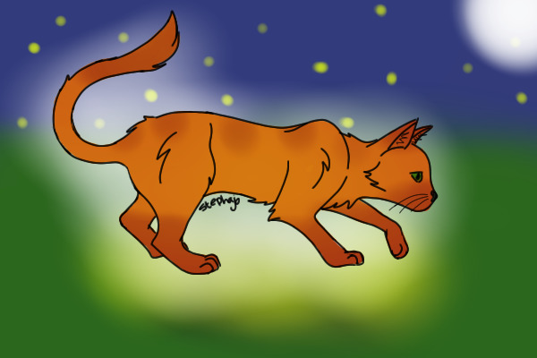 You Hunt With Starclan Now