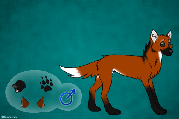Daemon Reference