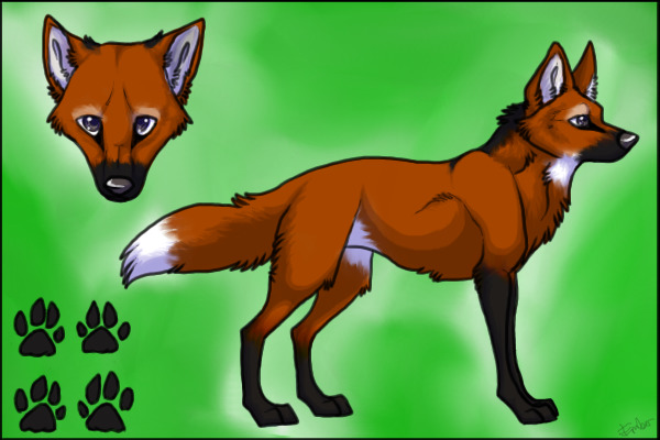 Valkero reference
