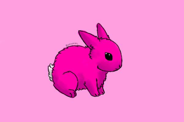 Pink Bunny XD