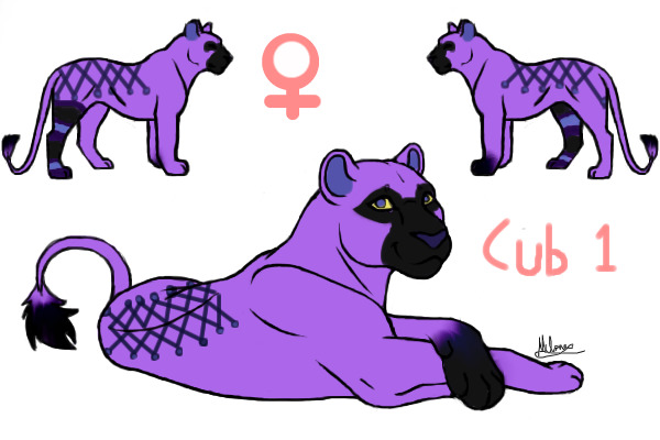 1st cub for letter bee
