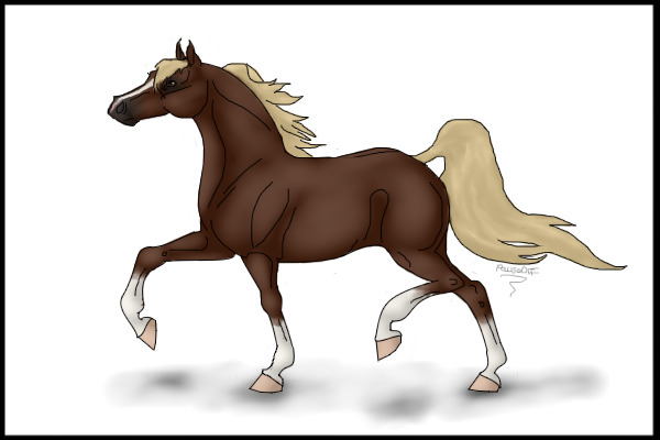 Editable Arabian Horse