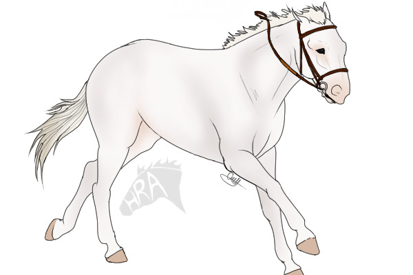 Custom Horse for Furriesforever