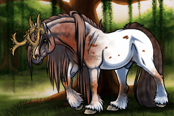 BK: Appaloosa Simple