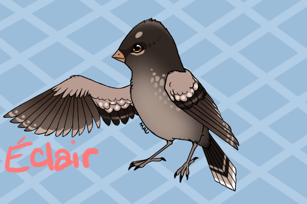 Birdie 1: Grey-Brown
