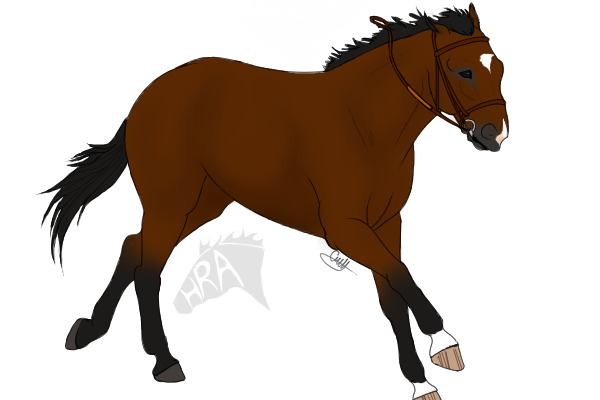 Custom Horse for horselover2011