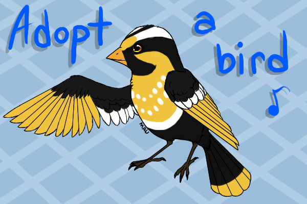 Birdie 4: Modified Goldfinch