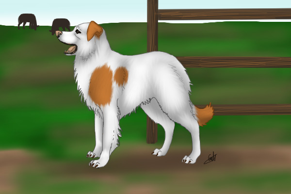 Rex