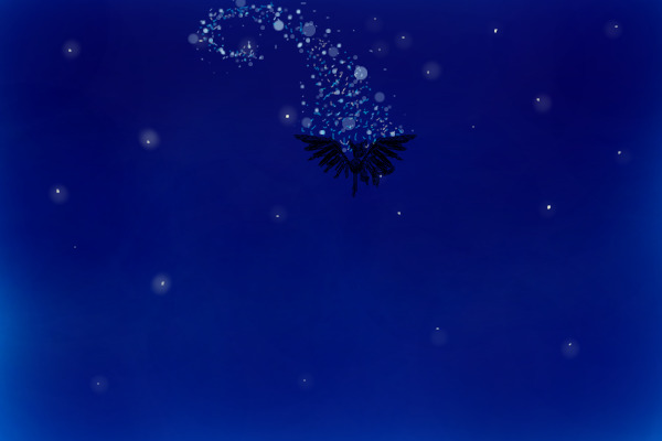 into the night