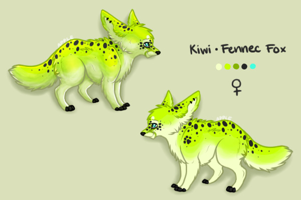 Kiwi - New Reference