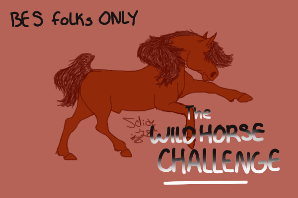 BES Rodeo ~ The Wild Horse Challenge