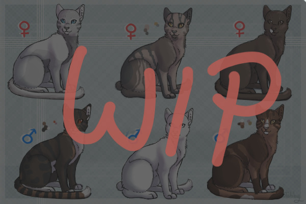Warrior cats - 3