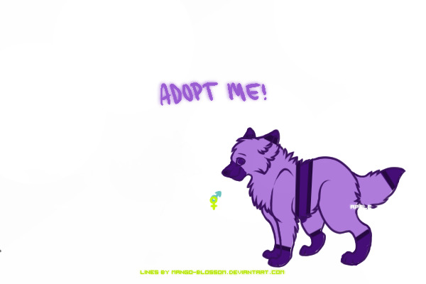 Adopt me!