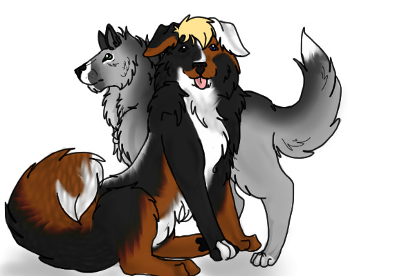 ~ Mountain Dog : Bo and Wolf Kato! * ENTRY * ~