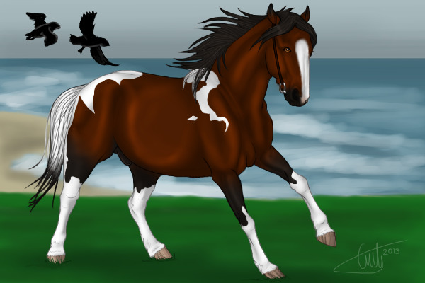 Vitnir
