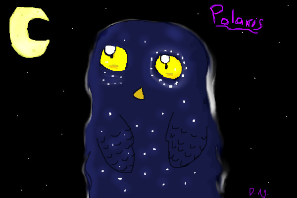 Starry PPS Owl WIP