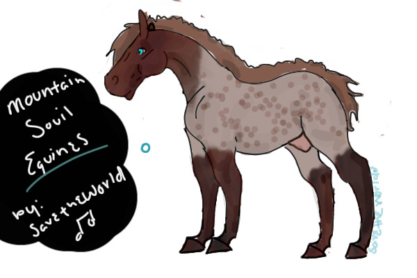 Mountain Souil Equines (MSE) Open
