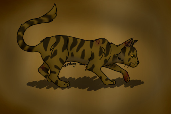 TigerClaw