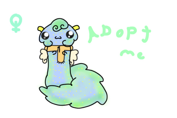 Shimy Boo Adopt!