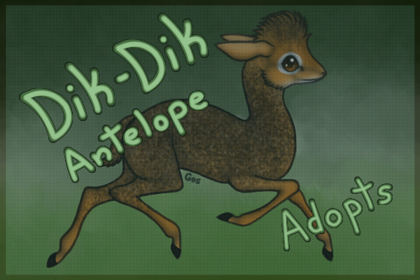 ~ Dik-Dik Antelope Adopts ~ [Posting Open!]