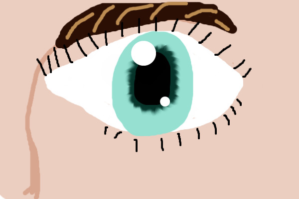 Eye