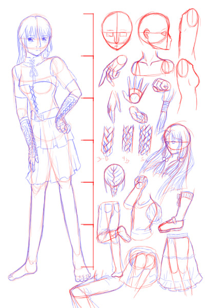 Human Anatomy Help, Anyone?