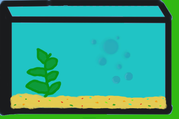 Decorate Your Own Aquarium