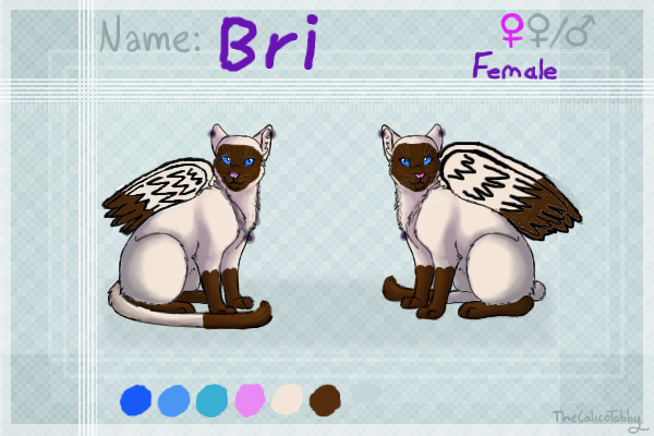 My fursona: Bri ref sheet with some her accessories.
