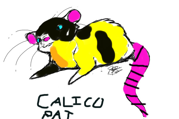 calico rat by shiraliat