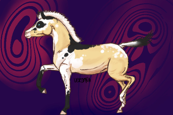 Random Foal~